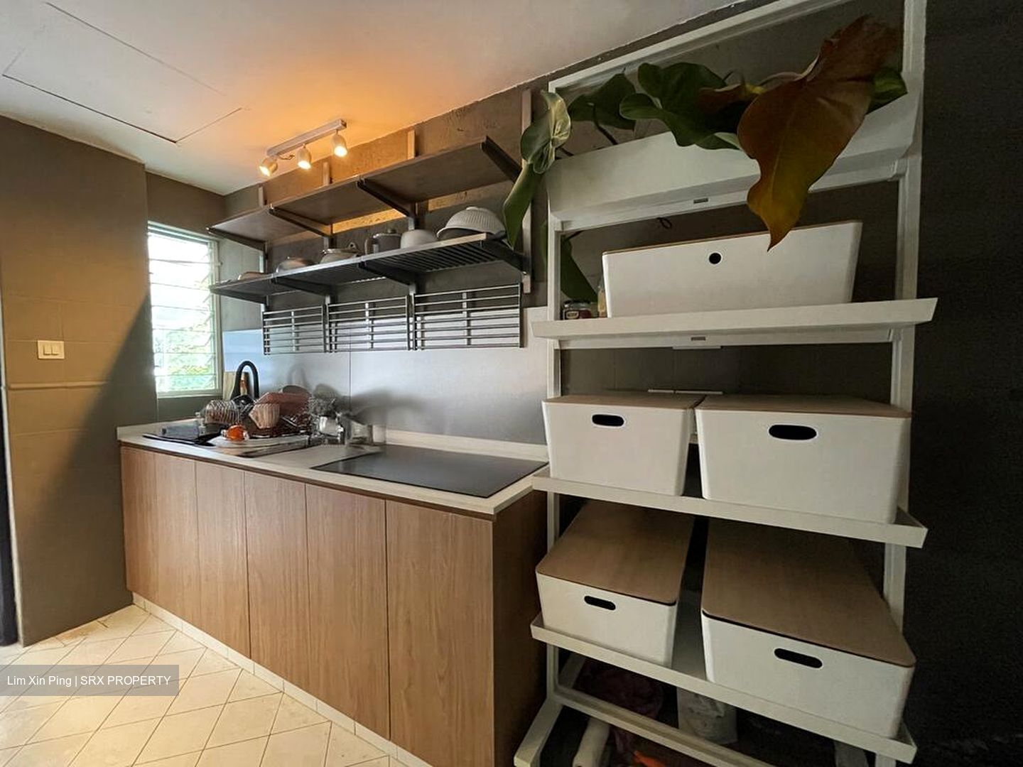 Holland Hill (D10), Apartment #517137511